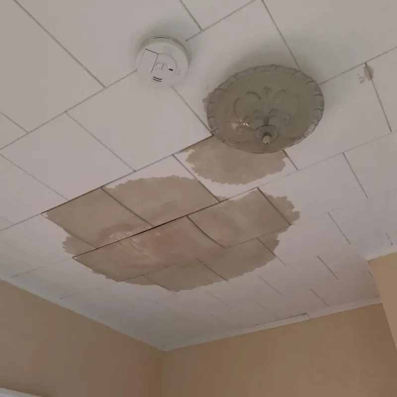 Ceiling Water Damage Repair in Alabama, NY