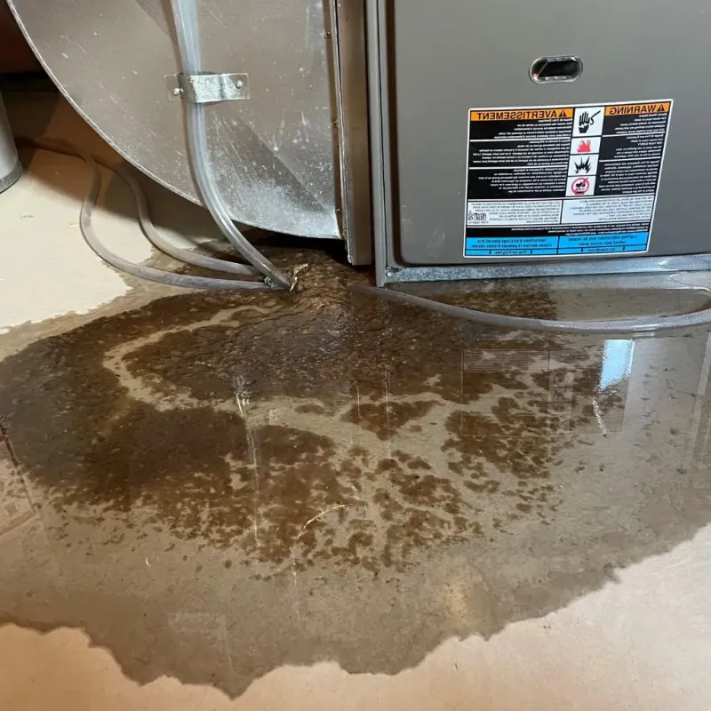 Pipe Burst and Leak Restoration in Alabama, NY